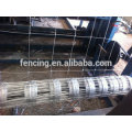 ISO 9001 certificado profissional galvanizado galvanizado cercas de cercas / cercas de animais (Anping preço baixo)